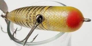 Vintage Tougher Color Heddon Baby Torpedo In Yellow With Black Ribs Clear Belly 3