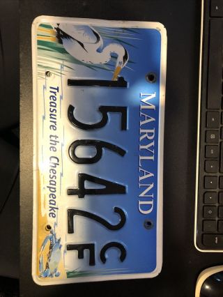 Single Maryland License Plate - Treasure The Chesapeake