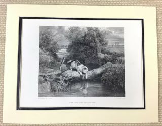 Antique Engraving Print Sir Edwin Landseer The Dog And The Shadow Painting 1880