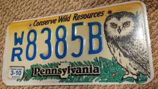 2010 Vintage Pennsylvania Pa Conserve Wild Resources Owl License Plate Tag