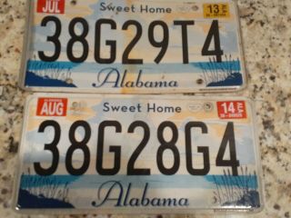 2009 Alabama " Sweet Home Alabama " Flat License Plate Tag.  38/dothan Alabama (2)