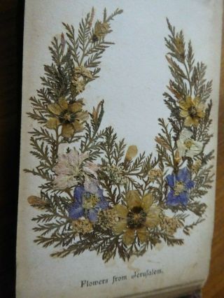 Antique Flowers of the Holy Land in Olivewood Book - Pressed Flowers 3