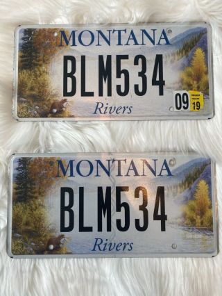Rivers Montana License Plate Set Perfect For A Collectors Wall,  Garage,  Etc