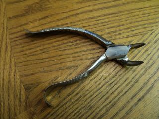 Vintage White Dental Extractor Pliers Tool No.  52 - 6 - 3/4 " Hobbies & Crafts