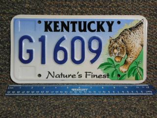 License Plate G1609 = Nos 2004 Kentucky Nature`s Finest Bobcat Lynx Ky Tag