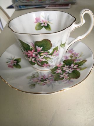 Vintage Royal Adderley Fine Bone China England Tea Cup & Saucer Mayflower