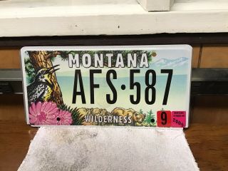 2005 Montana Wilderness License Plate