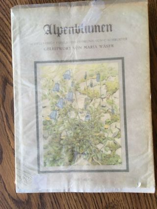 Vintage Book,  Alpenblumen,  Alpine Flowers,  Color Plates,  Paul A.  Robert