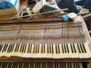 29 Antique Piano Keys For Arts Crafts Parts