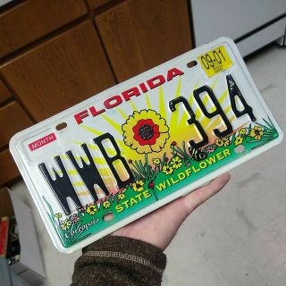 Florida 2001 State Wildflower License Plate Wwb - 394