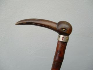 An Antique Bovine Horn Bird Head Walking Stick C1900