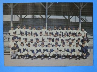 1962 Detroit Tigers Baseball Spring Training 7 " X 5 " Photo Card