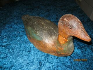 Antique Vintage Primitive Wood Decoy Hand Carved Duck Coot? Lake Huron Mi.