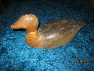 Antique Vintage primitive Wood Decoy hand carved duck coot? LAKE HURON MI. 2
