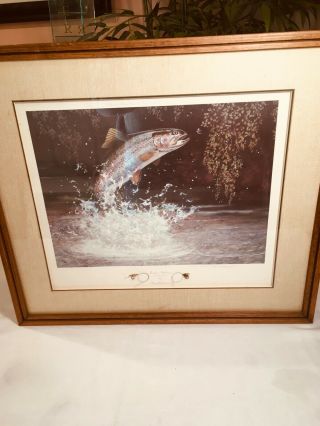 Fly Fishing Framed Picture Under Glass W Real Flies Signed By Paul Jorgensen