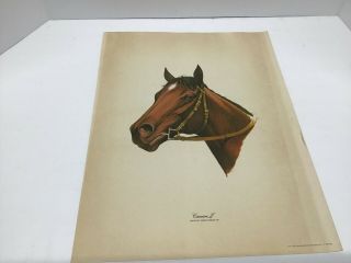 Vintage Canonero Ii Kentucky Derby Winner 1971 Horse Print By L.  C.  Gosney