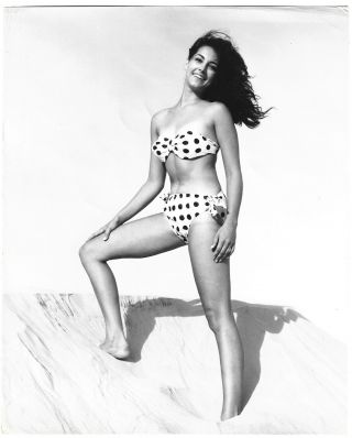 Vintage 1960s Bunny Yeager Photograph Bikini Pin - Up Laura Taylor Padre Island Tx