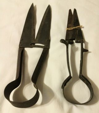 2 Antique/ Vintage Sheep Shears 12.  5 " And 13.  5 ".  Steel Cast Iron