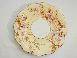 Stunning Vintage Foley Bone China Spring Blossom Tea Side Plate Orphan Spare