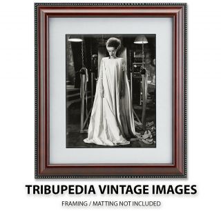 Vintage 1935 ‘Bride of Frankenstein’ Movie Publicity Photo - Elsa Lanchester 2