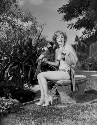 Bunny Yeager Estate 1950s Camera Negative 4 " By 5 " Maria Stinger With 2 Parrots