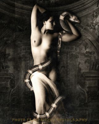 Vintage Nude Woman With Snake 8.  5x11 " Photo Print Risque Beauty Naked Female