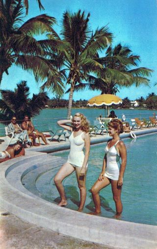 Glamour And Golden Sunshine Miami Beach Pool Florida Chrome Vintage Postcard