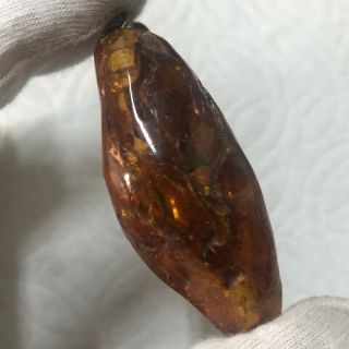 15.  5 gram Big Vintage Natural Baltic Cognac Amber Pendant (AM479) 2