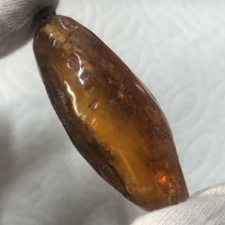 15.  5 gram Big Vintage Natural Baltic Cognac Amber Pendant (AM479) 3