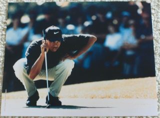 Tiger Woods 1996 Greater Milwaukee Open Topps Issued 8x10