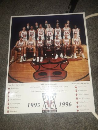 Chicago Bulls 1995/1996 Team Photo Michael Jordan 8 X10