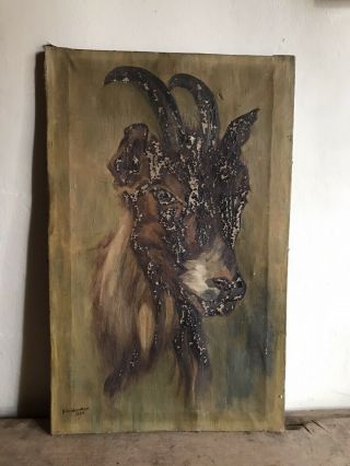 Big Old Antique Goat Painting Canvas Worn Folky 1926 Muted Colors Aafa 18 X 11