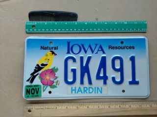 License Plate,  Iowa,  Natural Resources,  Hardin County,  Goldfinch,  Gk 491
