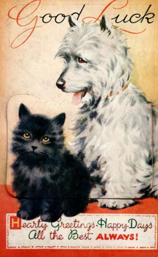 Vintage Mailing Novelty Postcard: Black Cat & Westie Dog - Bournemouth