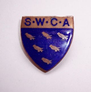 Vintage 1930s Sussex Womens Cricket Association Enamel Shield Cap Badge Pin