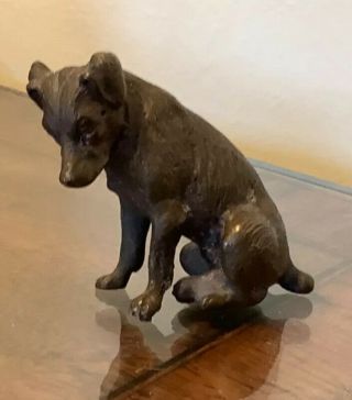 Antique Austrian Cold Painted Bronze Of Jack Russell Terrier Dog Vienna Bronze