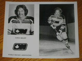 Ottawa Nationals Chris Meloff Wha Media Photograph / Picture 1972 - 73