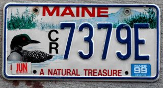 Maine " A Natural Treasure " License Plate With A Red - Eyed Loon - 1999 Sticker