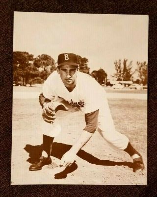 Sandy Koufax - Brooklyn Dodgers - Sepia Tone 11 " X14 " Picture - Photo Stock
