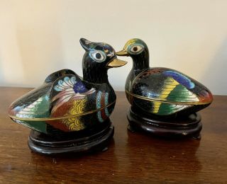 Pair Antique Chinese Cloisonne Birds Duck Trinket Boxes Vintage 4.  5”