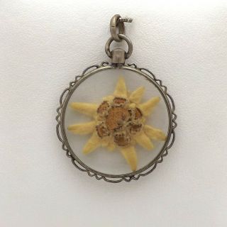 Antique Silver Tone Austria Glass Encased Edelweiss Flower Charm Pendant