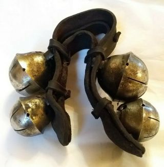 Four Large Antique Brass Acorn Ox Sleigh Bells On Leather Wither Strap 1800 