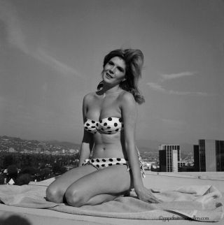 Bunny Yeager 1960s Pin - Up Camera Negative Photograph Taken In Los Angeles Pin - Up