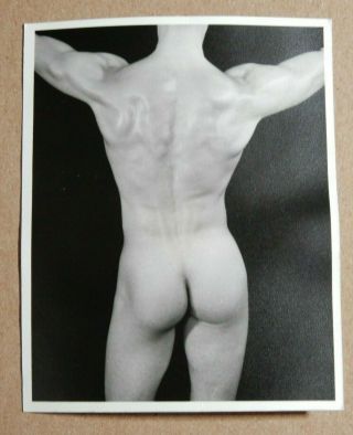 Physique Photography,  Bodybuilding,  Don Whitman,  Vintage Print,