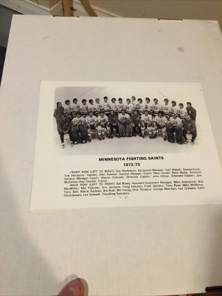 1972/73 Wha Minnesota Fighting Saints Team Photo