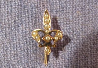 Antique Vintage 10 K Yellow Gold With Seed Pearls Stickpin