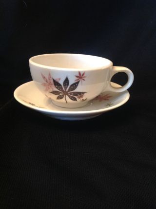 Vtg Peter Terris Calico Leaves Cup And Saucer Set