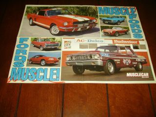 Ford Shelby Gt350 Thunderbolt Muscle Car Poster 16 " X 21 "