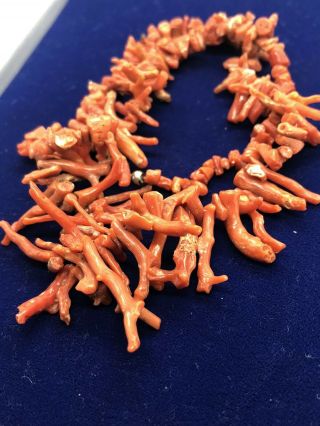 Antique Edwardian Natural Coral Branch Necklace 50 Cm Long 34 Grams Early 1900s
