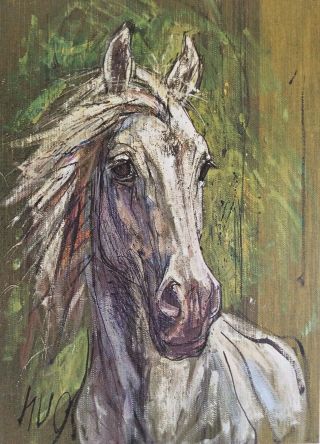 Fritz Rudolf Hug (1921 - 1989) Vintage White / Grey Horse Lithograph Print